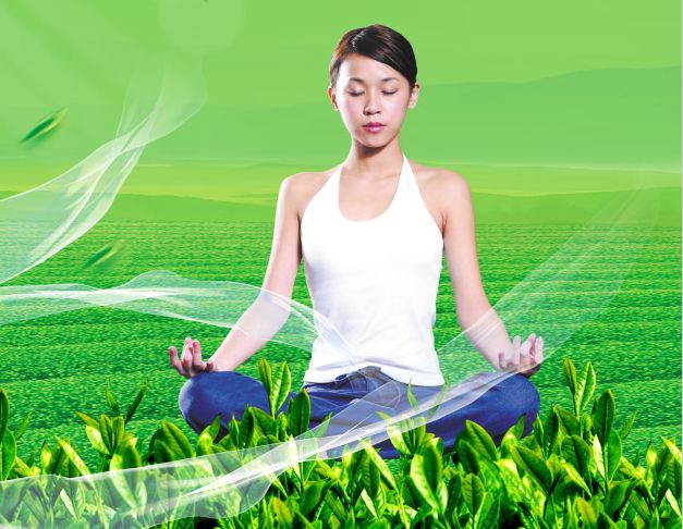 买个假波兰驾驶证